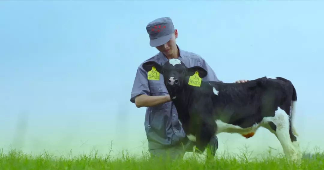 河南省人大常委會黨組書記、副主任孔昌生蒞臨花花牛魯山瑞亞牧場參觀調(diào)研