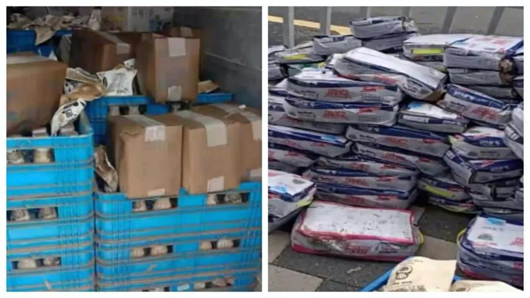 【乳報·聚焦】“豫”難而上的中原牛人“太中了”！