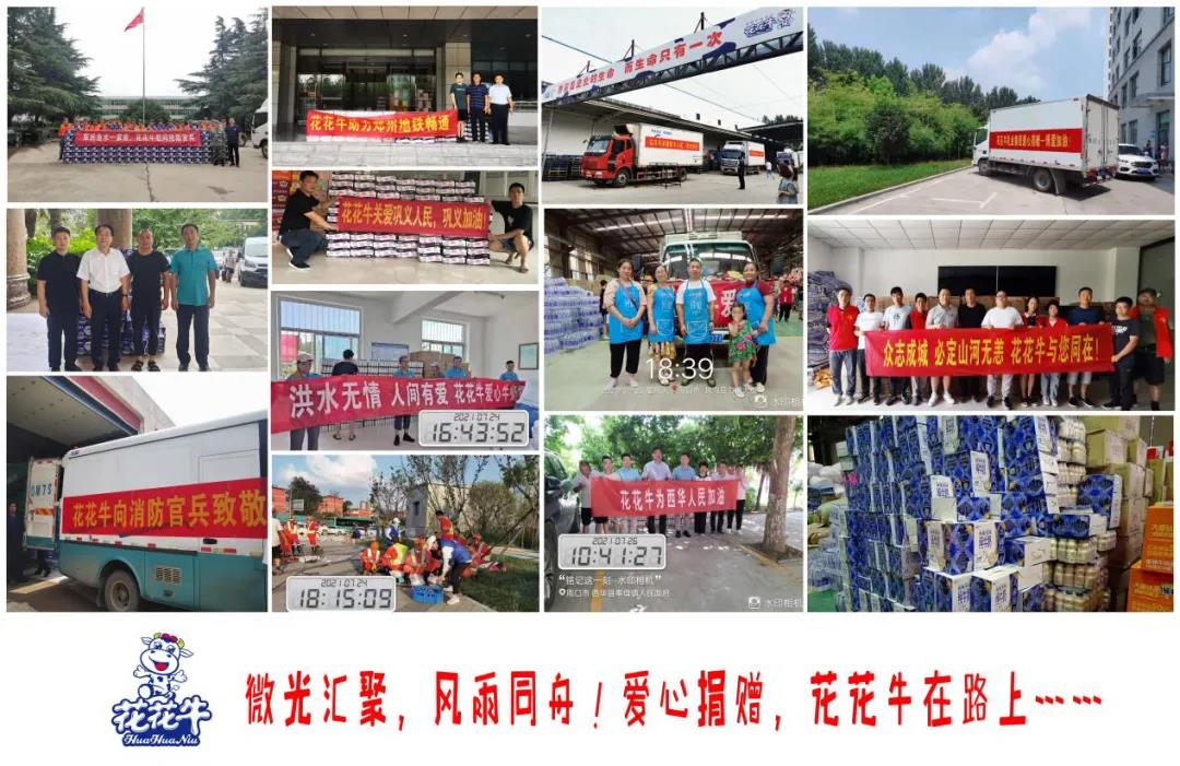 【乳報·聚焦】“豫”難而上的中原牛人“太中了”！