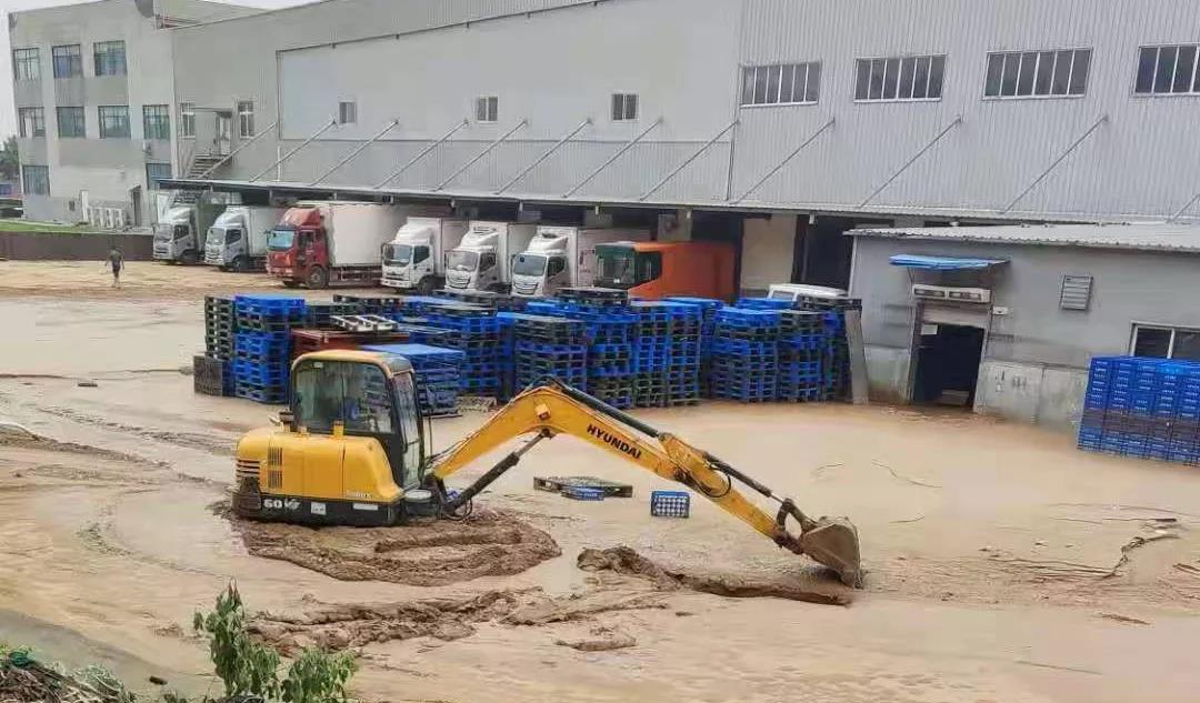 【乳報·聚焦】“豫”難而上的中原牛人“太中了”！