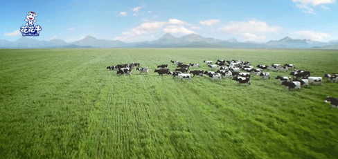 快訊 | 2020河南民營企業(yè)100強發(fā)布 花花牛榮獲“河南民營企業(yè)現(xiàn)代農(nóng)業(yè)100強”、“河南民營企業(yè)社會責(zé)任100強”雙榮譽