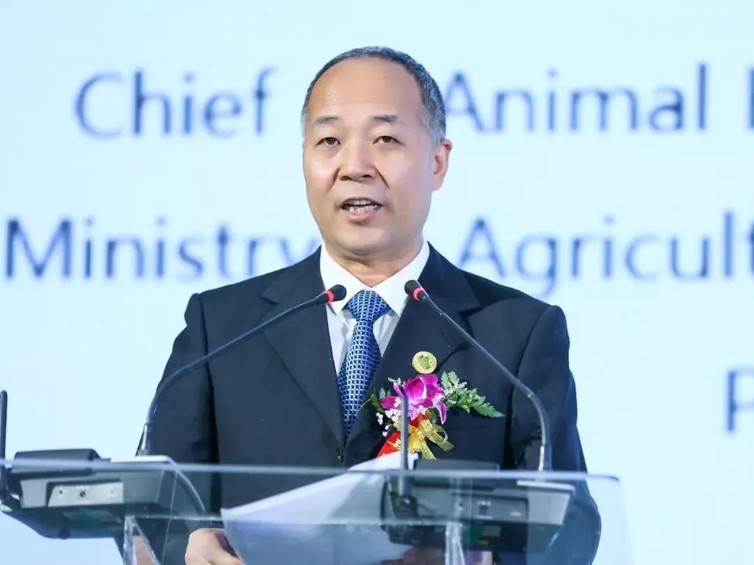 SDDDC走進河南，看看花花牛的國際范兒！