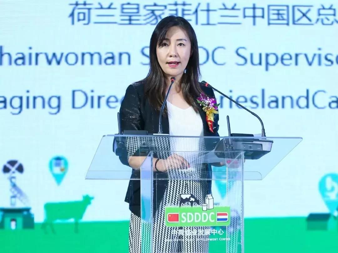 SDDDC走進河南，看看花花牛的國際范兒！