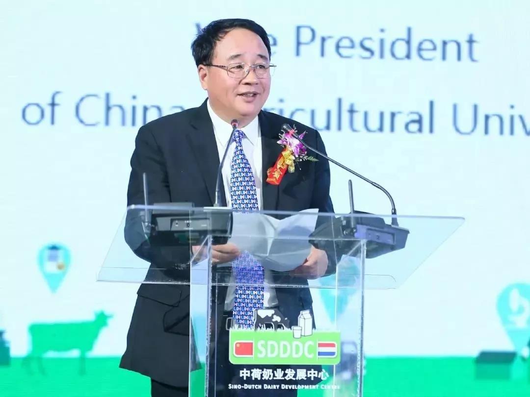 SDDDC走進河南，看看花花牛的國際范兒！