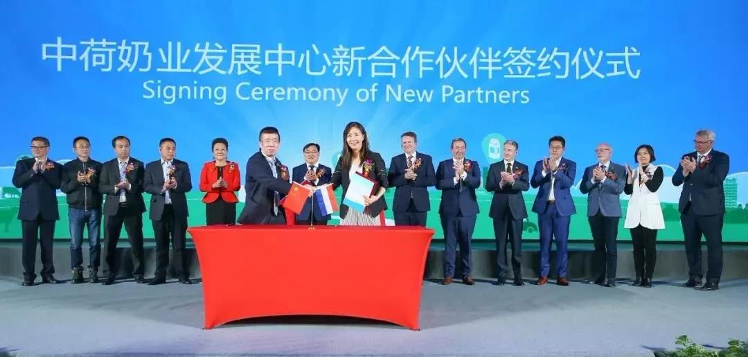 SDDDC走進河南，看看花花牛的國際范兒！