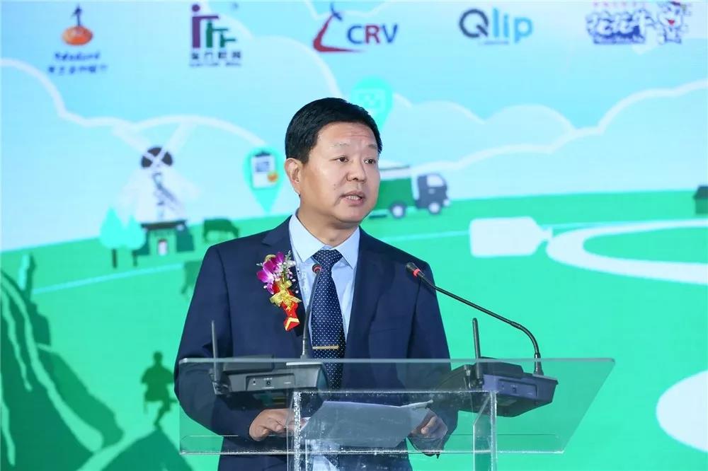 SDDDC走進河南，看看花花牛的國際范兒！