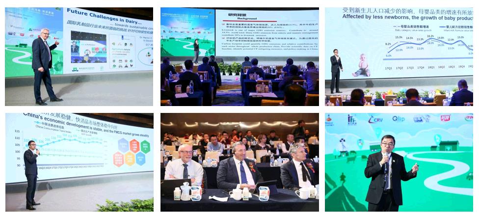 SDDDC走進河南，看看花花牛的國際范兒！