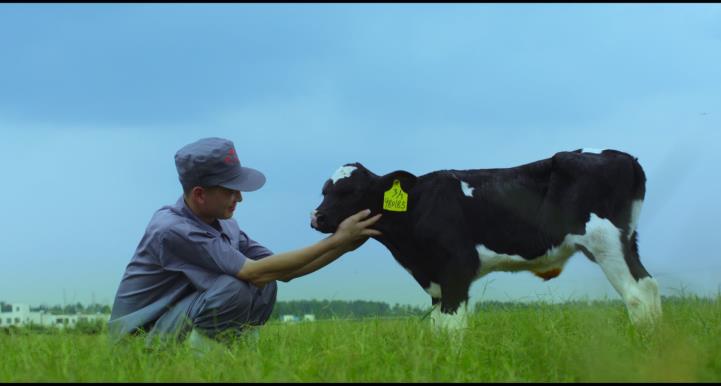 又雙叒叕獲獎(jiǎng)啦！花花牛榮獲“乳品質(zhì)量安全管理 優(yōu)秀企業(yè)”