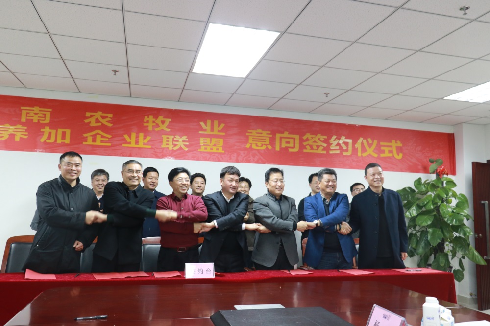 涉農(nóng)企業(yè)強(qiáng)強(qiáng)聯(lián)合，“抱團(tuán)取暖”共迎企業(yè)發(fā)展的春天