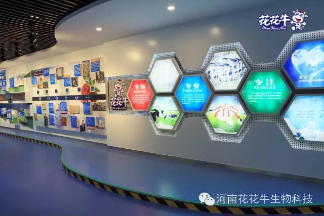 花花牛：務(wù)實(shí)、創(chuàng)新領(lǐng)潮市場(chǎng) 大企業(yè)體現(xiàn)大擔(dān)當(dāng)