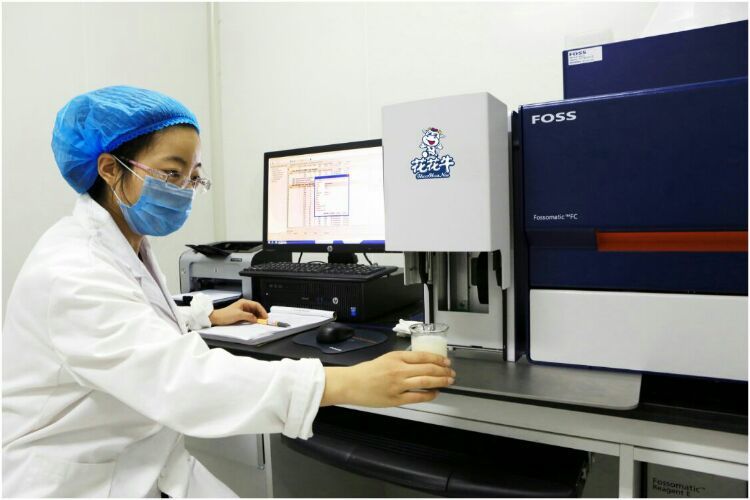 花花牛：務(wù)實(shí)、創(chuàng)新領(lǐng)潮市場(chǎng) 大企業(yè)體現(xiàn)大擔(dān)當(dāng)