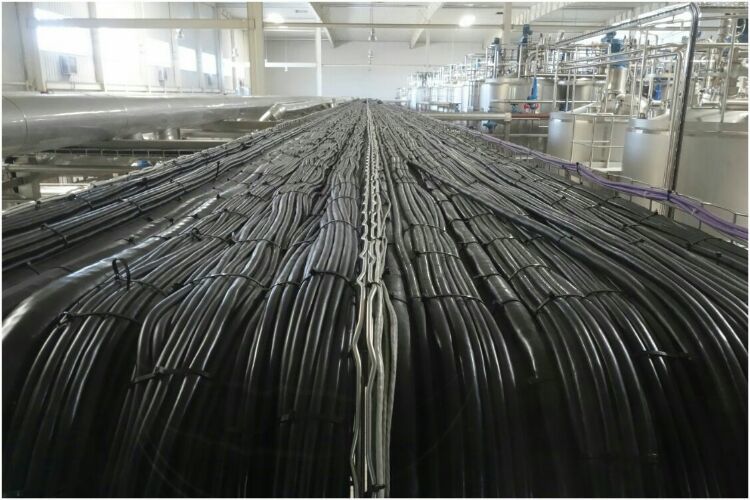 走進(jìn)工廠 走進(jìn)工廠