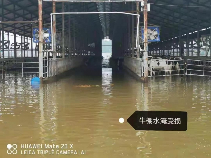 【乳報(bào)·聚焦】“豫”難而上的中原牛人“太中了”！