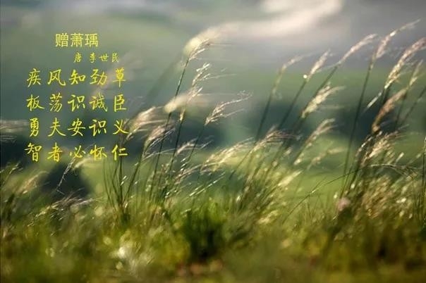 花花牛 | 疾風(fēng)來臨，你是不是勁草？