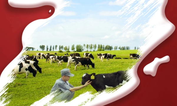 喜報(bào)！花花牛董事長(zhǎng)關(guān)曉彥再獲”優(yōu) 秀企業(yè)家”稱號(hào)